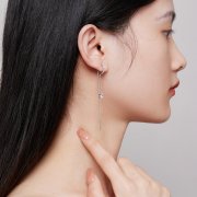 Boucles d'oreilles pendantes exquises de style Pandora - BSE830