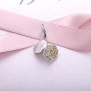 PANDORA - Charm Pendentif Liens Familiaux - 791988CZ