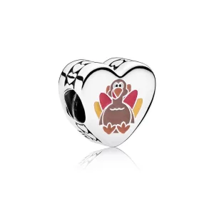 (image pour) Charm Reconnaissant pour toi en Argent PANDORA France - ENG792015_10