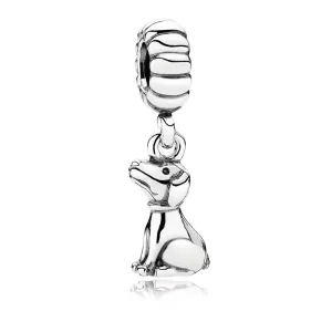 (image pour) Chien PANDORA France - 791095