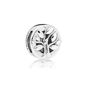 (image pour) PANDORA Reflexions Charm clip Héritage Familial - 797779