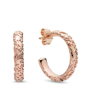 (image pour) Clous d'oreilles PANDORA Beauté royale 287732