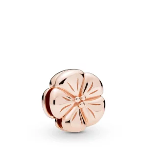 (image pour) Pandora Reflexions Charm Fleur Classique en Pandora Rose 787897