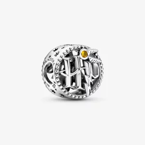 (image pour) Charm PANDORA Harry Potter Ajouré, Icônes d'Harry Potter - 799127C01