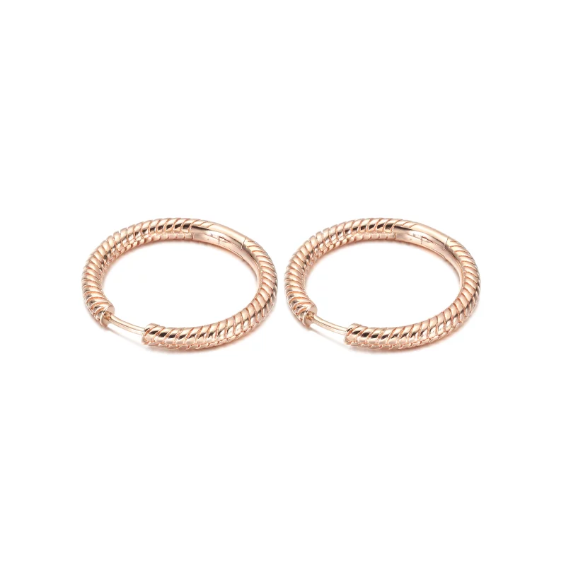 (image pour) Boucles d'oreilles créoles Pandora Moments Charm - 289532C00 - Afficher 3