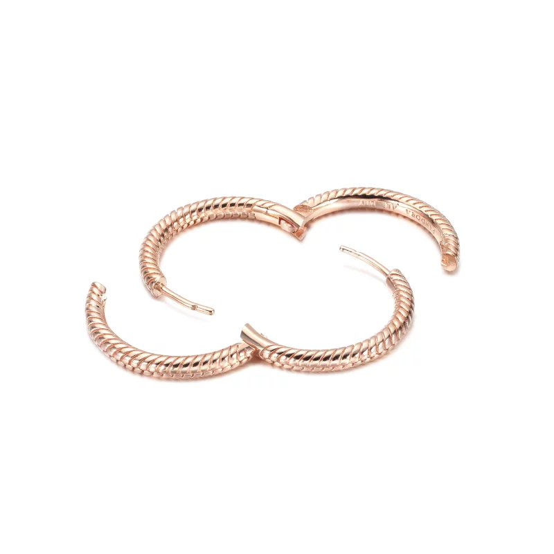(image pour) Boucles d'oreilles créoles Pandora Moments Charm - 289532C00 - Afficher 4