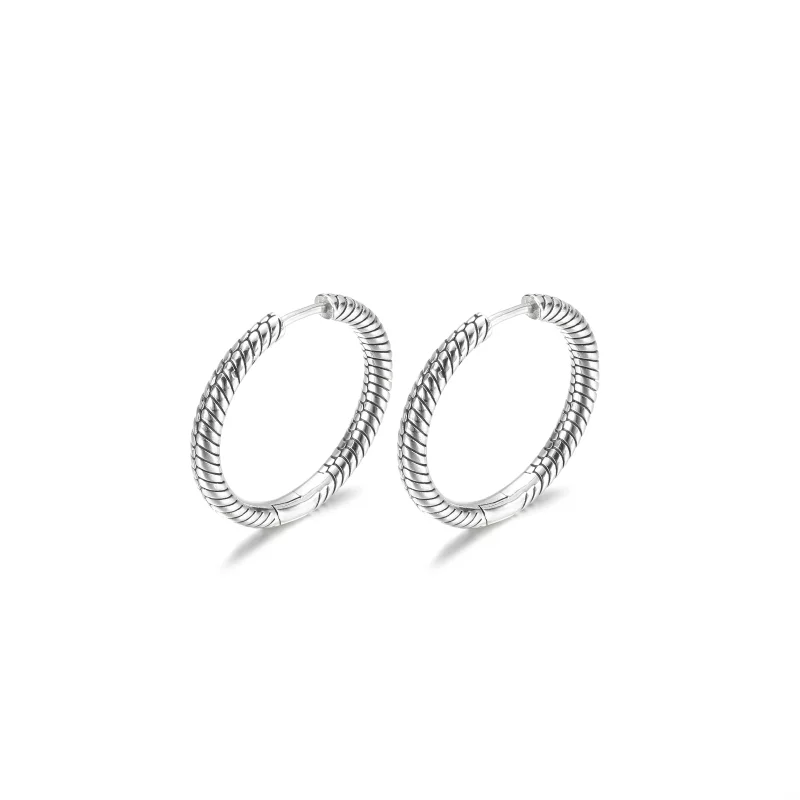 (image pour) Boucles d'oreilles à créoles pour charms Pandora Moments - 299532C00 - Afficher 5