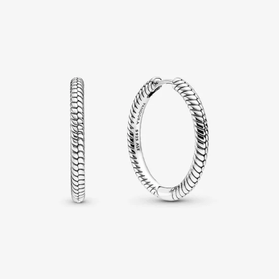 (image pour) Boucles d'oreilles à créoles pour charms Pandora Moments - 299532C00