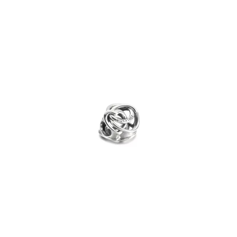 (image pour) Charm Cœur Toujours Entouré de Famille PANDORA - 791507C00 - Afficher 3