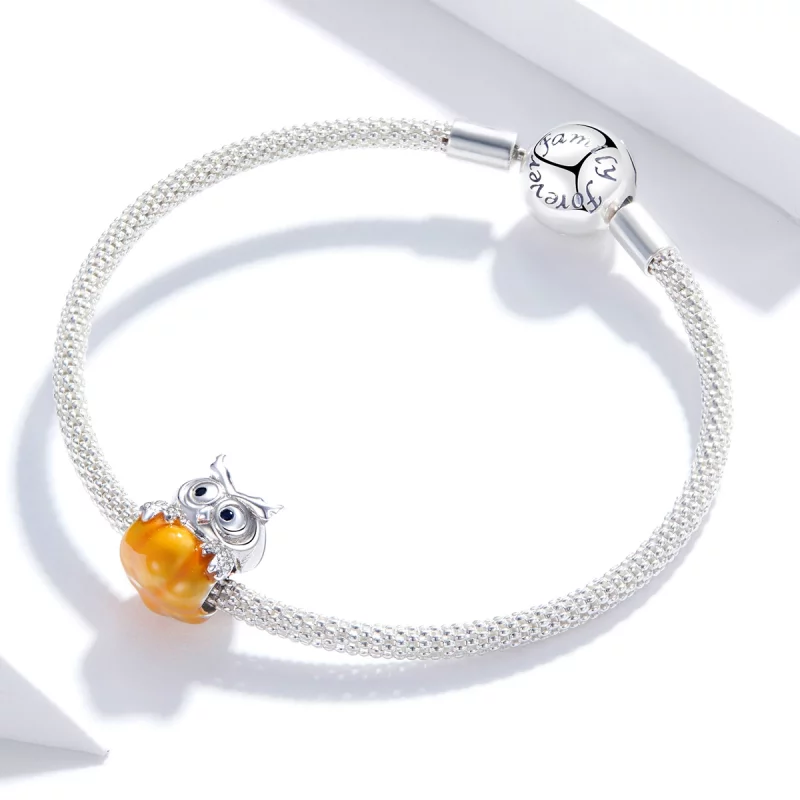 (image pour) Charm de citrouille et hibou en argent de style Pandora - BSC342 - Afficher 3