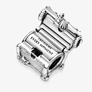 (image pour) PANDORA Coffre aux Trésors Charme - 799432C00
