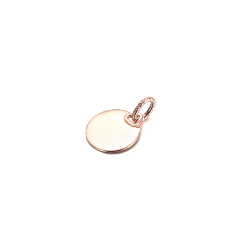 (image pour) Pendentif en forme de tag rond gravable PANDORA - 388610C00 - Afficher 2