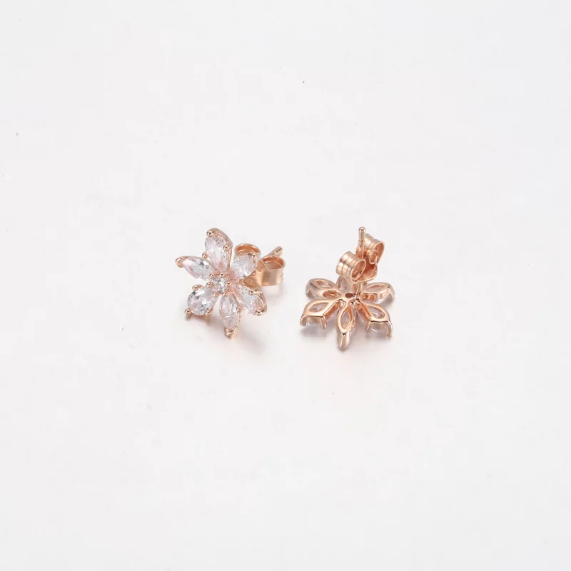 (image pour) Boucles d'oreilles clou étincelantes Herbarium Cluster PANDORA - 282407C01 - Afficher 6