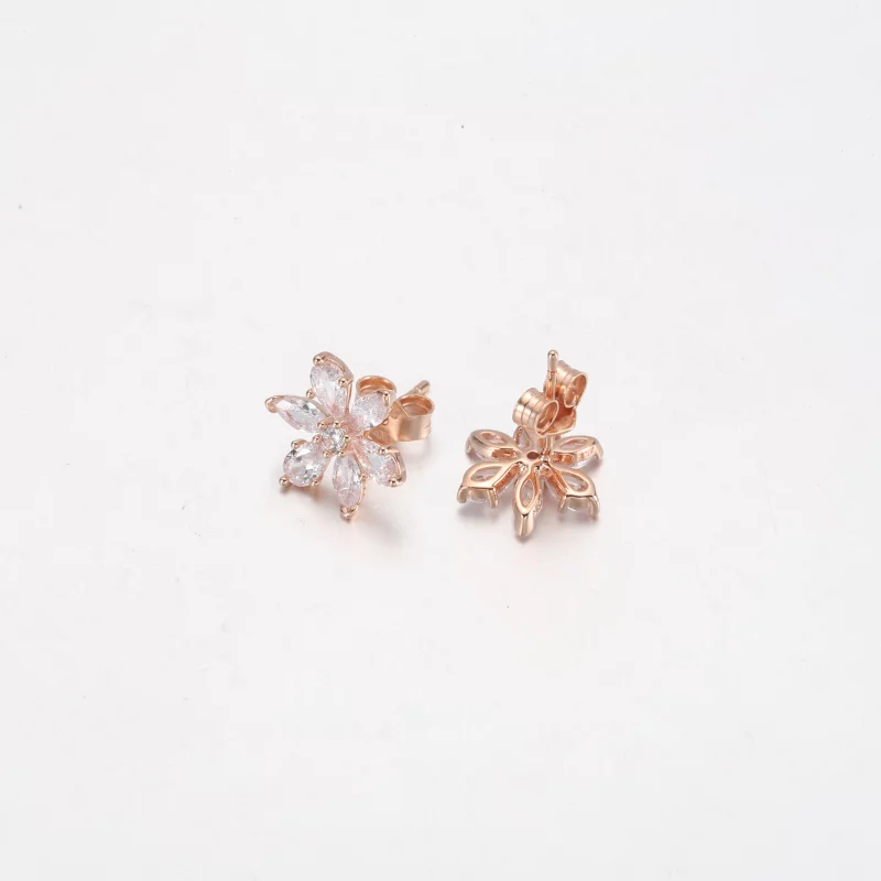 (image pour) Boucles d'oreilles clou étincelantes Herbarium Cluster PANDORA - 282407C01 - Afficher 10