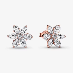 (image pour) Boucles d'oreilles clou étincelantes Herbarium Cluster PANDORA - 282407C01