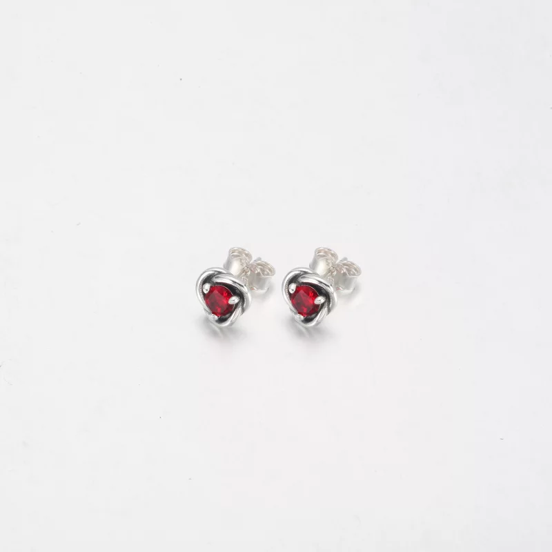 (image pour) PANDORA Boucles d'oreilles clous Eternity Circle blanches de juin - 292335C03 - Afficher 10