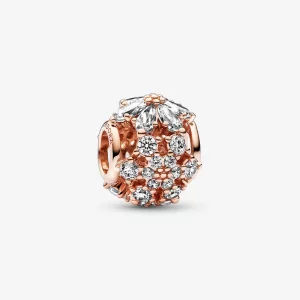 (image pour) PANDORA Charmant Charme Rond de Clusters d'Herbier Étincelant - 782383C01