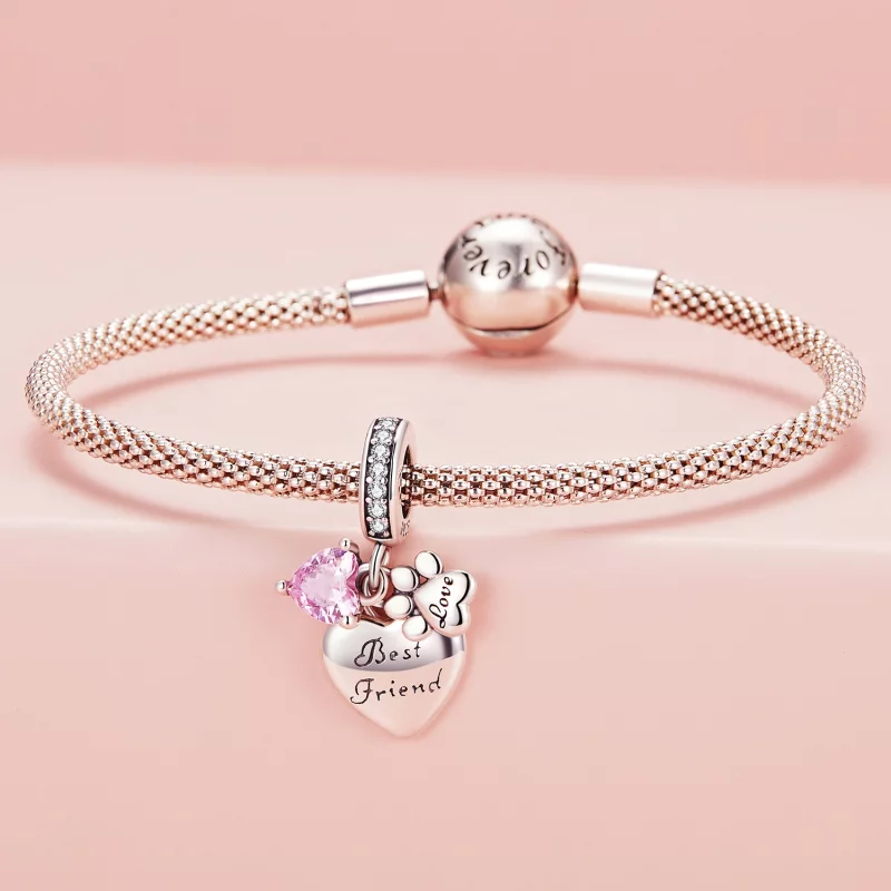 (image pour) Charm Pandora Style "Amis pour toujours" - SCC2436 - Afficher 3