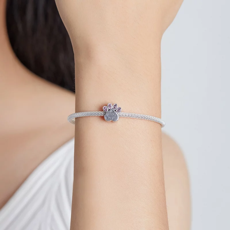 (image pour) Promotion sur le Charme Ami de Style Pandora - BSC517 - Afficher 5