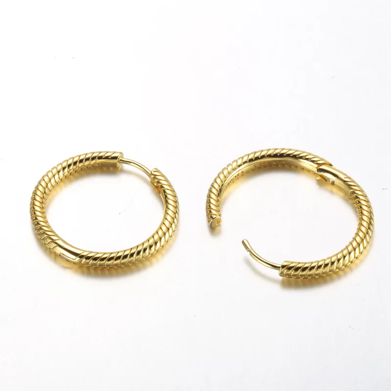 (image pour) Boucles d'oreilles à charnière Pandora Moments Charm - 269532C00 - Afficher 4
