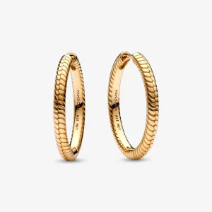 (image pour) Boucles d'oreilles à charnière Pandora Moments Charm - 269532C00