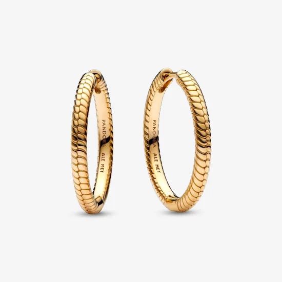 (image pour) Boucles d'oreilles à charnière Pandora Moments Charm - 269532C00