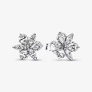 (image pour) Boucles d'oreilles clou à grappes Herbarium étincelantes Pandora - 292633C01