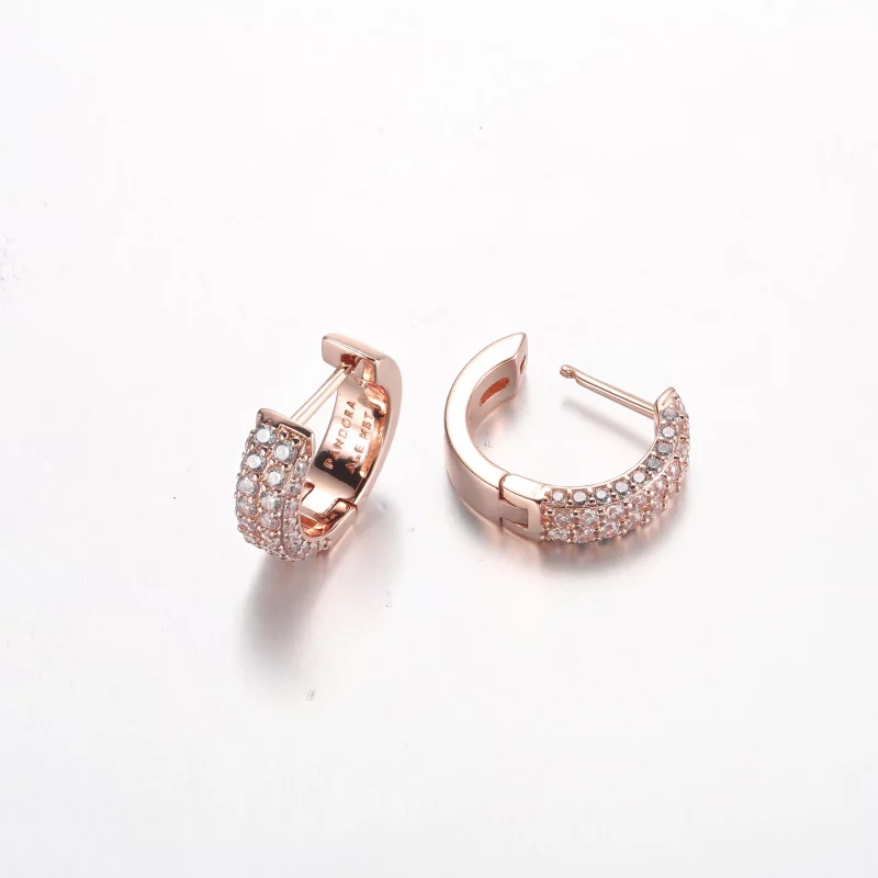 (image pour) Boucles d'oreilles créoles Pandora Timeless Pavé à double rangée - 282622C01 - Afficher 5