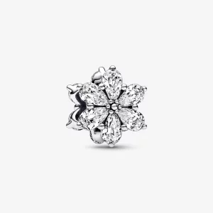 (image pour) Charm Pandora Étincelant Herbier en Grappe - 792623C01