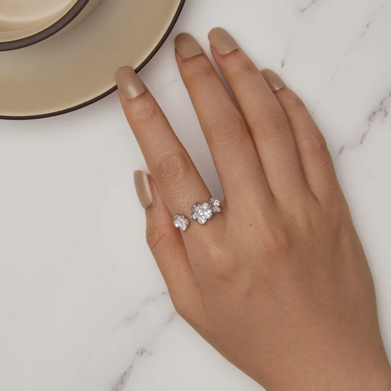 (image pour) Bague de style Pandora remplie de fleurs - BSR447 - Afficher 5