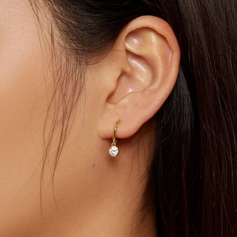 (image pour) Boucles d'oreilles à cercle en zirconium de style Pandora - SCE830-B - Afficher 7