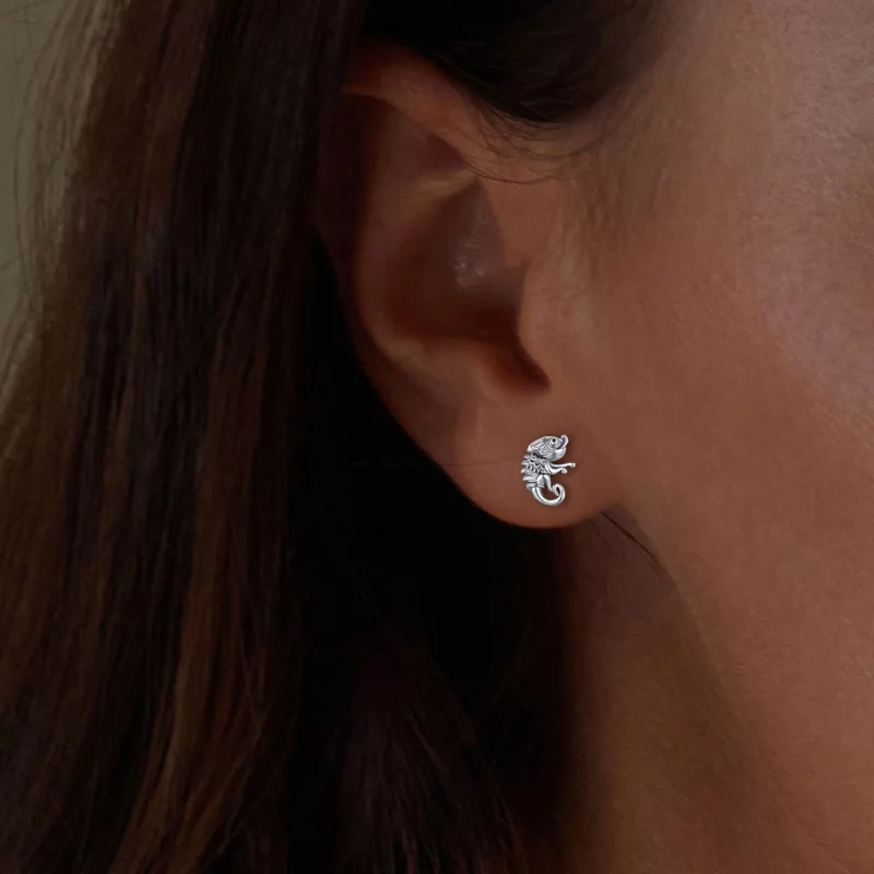 (image pour) Boucles d'oreilles clous de style Chameleon Pandora - SCE1661 - Afficher 5