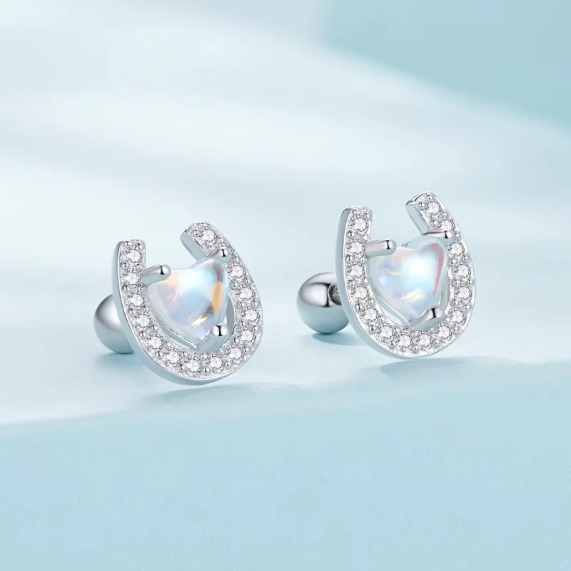 (image pour) Boucles d'oreilles à clous ronds style Pandora avec des bouchons d'oreille en fo - Afficher 2