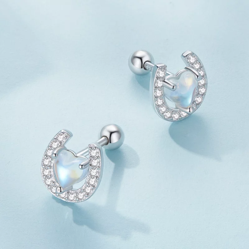 (image pour) Boucles d'oreilles à clous ronds style Pandora avec des bouchons d'oreille en fo - Afficher 3