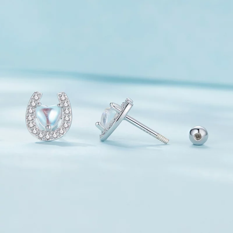 (image pour) Boucles d'oreilles à clous ronds style Pandora avec des bouchons d'oreille en fo - Afficher 4