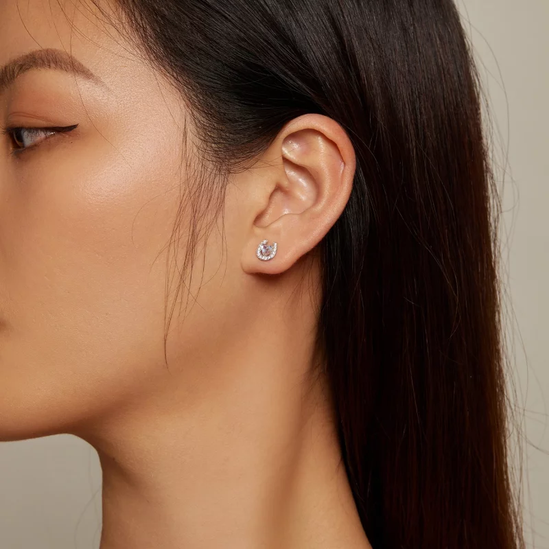 (image pour) Boucles d'oreilles à clous ronds style Pandora avec des bouchons d'oreille en fo - Afficher 5