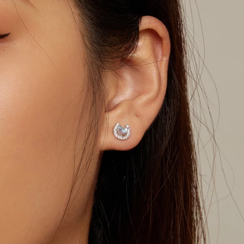 (image pour) Boucles d'oreilles à clous ronds style Pandora avec des bouchons d'oreille en fo - Afficher 7
