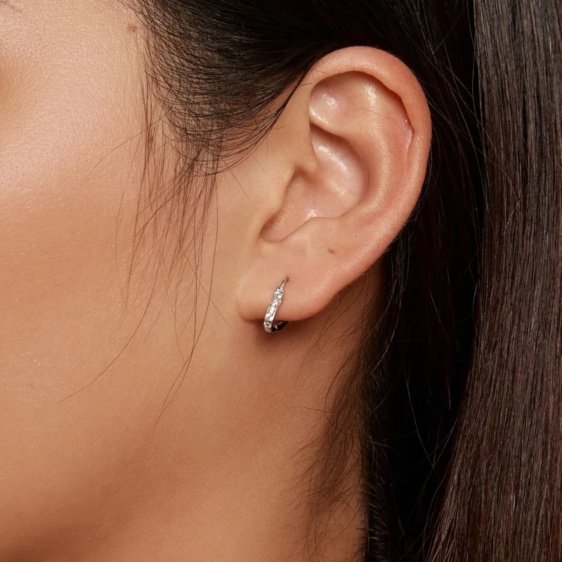 (image pour) Boucles d'oreilles en forme de cœur style Pandora - SCE1626 - Afficher 6