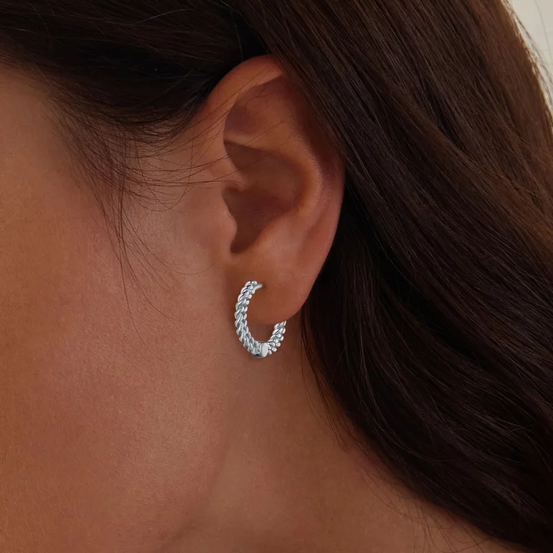(image pour) Boucles d'oreilles pendantes style Pandora avec chaîne - BSE906 - Afficher 5