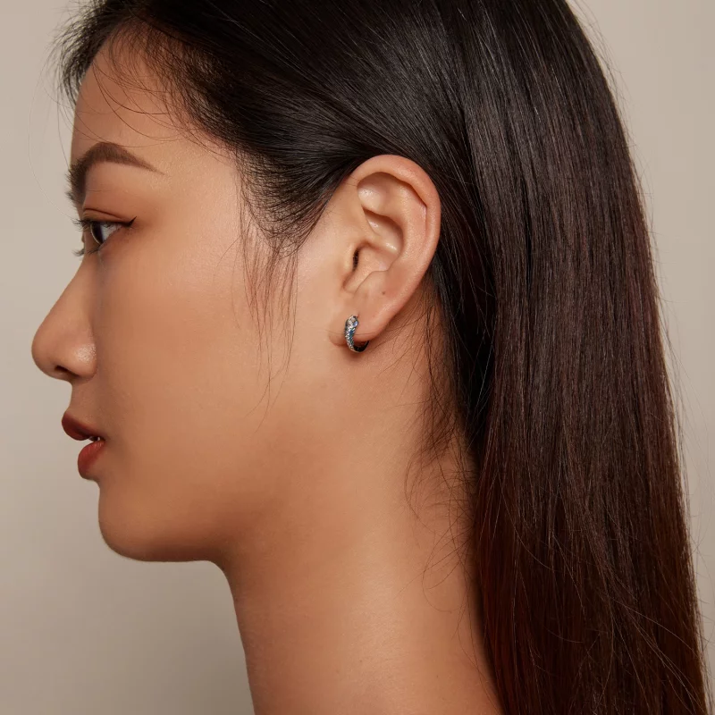 (image pour) Boucles d'oreilles à plumes de style Pandora - BSE882 - Afficher 5