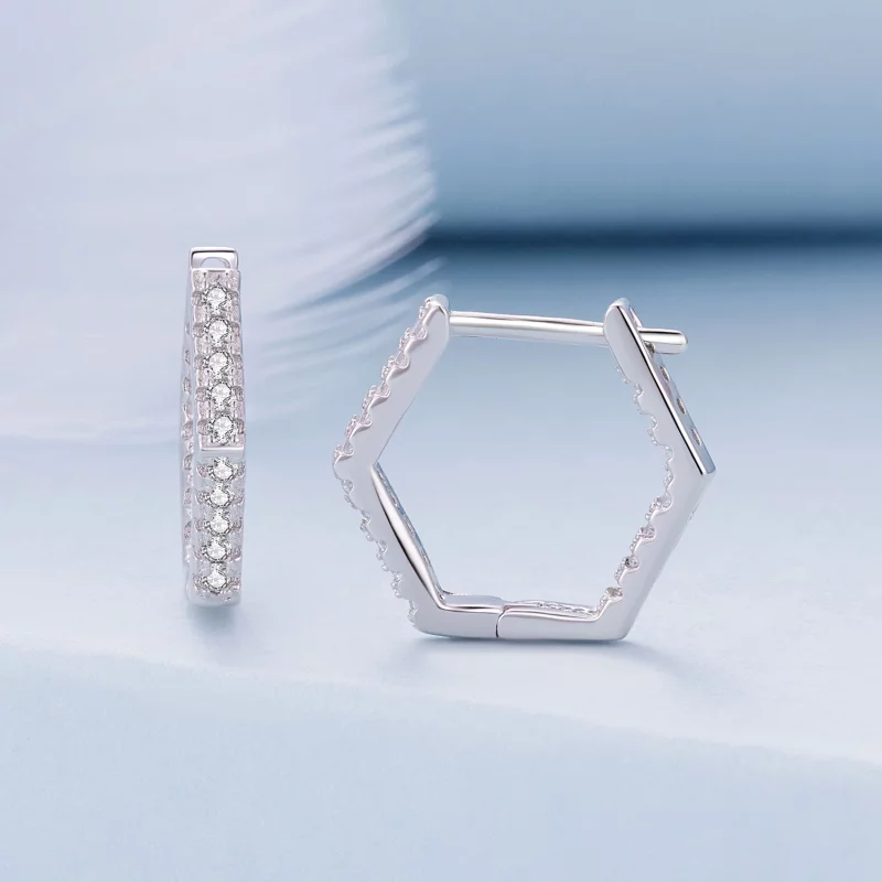 (image pour) Boucles d'oreilles à six côtés de style Pandora - BSE917 - Afficher 2