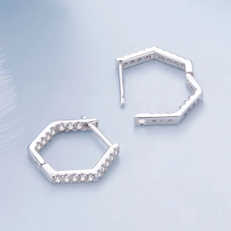 (image pour) Boucles d'oreilles à six côtés de style Pandora - BSE917 - Afficher 4