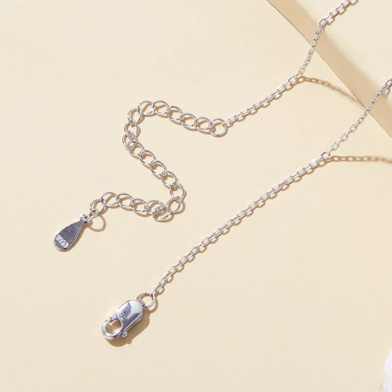 (image pour) Collier style Pandora avec un colibri - BSN305 - Afficher 5