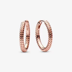 (image pour) Boucles d'oreilles à anneaux avec petits charms Pandora Moments - 282728C00