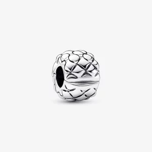 (image pour) Charm Clip Clouté Pandora - 792746C00