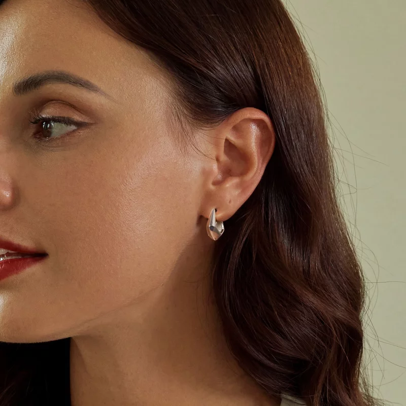 (image pour) Boucles d'oreilles géométriques exquises style PANDORA - SCE1704 - Afficher 6