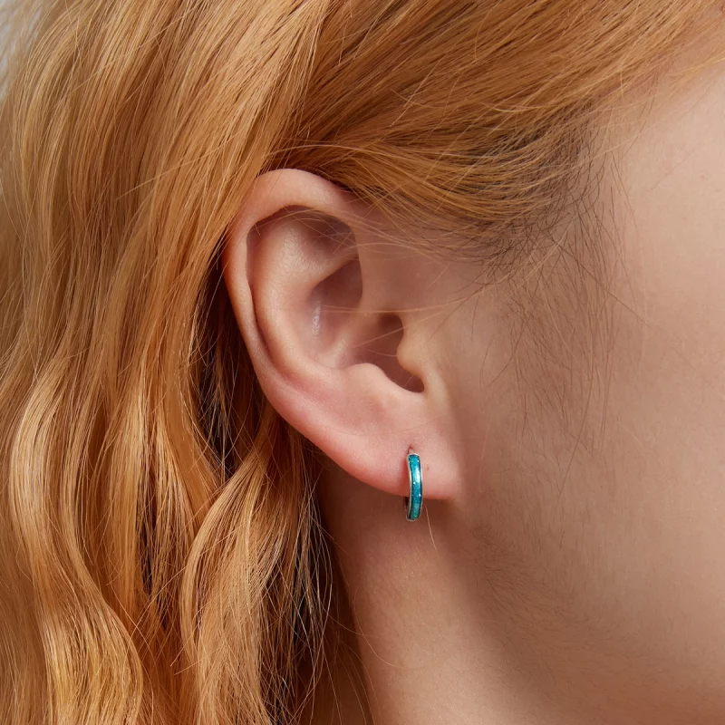 (image pour) Boucles d'oreilles simples style PANDORA - BSE603 - Afficher 5