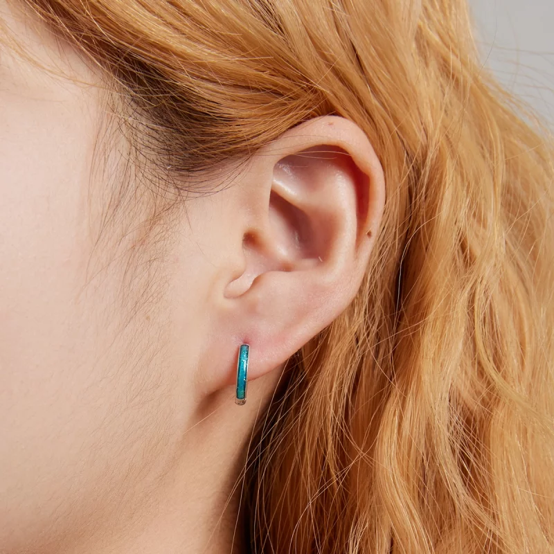 (image pour) Boucles d'oreilles simples style PANDORA - BSE603 - Afficher 6