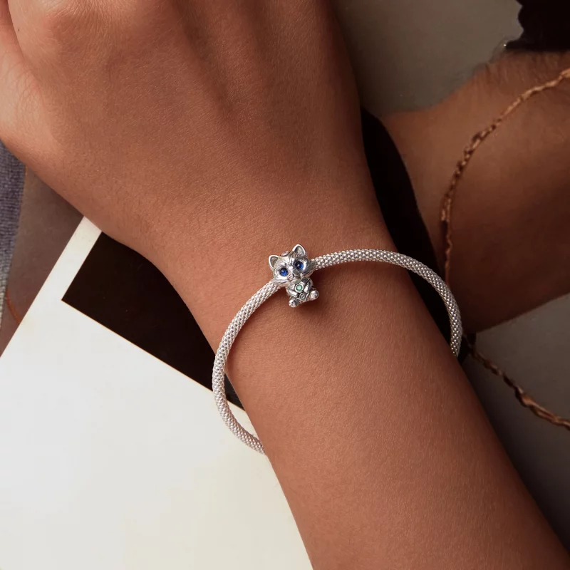 (image pour) Perles Petit Raton Laveur Style PANDORA - SCC2757 - Afficher 6