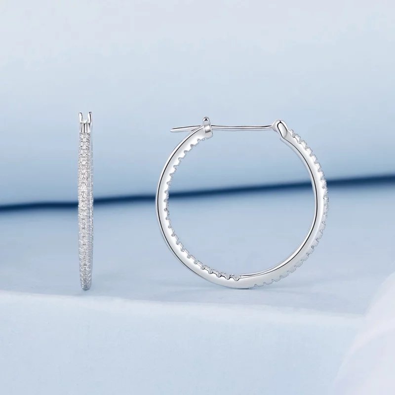 (image pour) Boucles d'oreilles Brillantes Style PANDORA - BSE1023-L - Afficher 2
